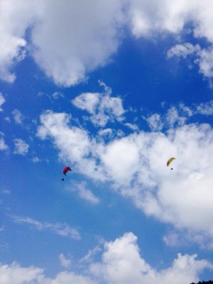 20140908_083606.jpeg