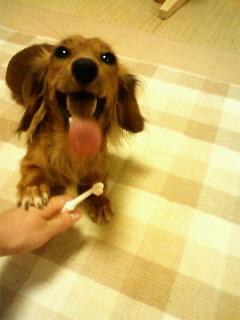 200909012148000.jpg