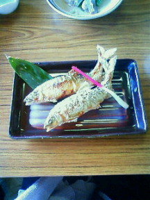 200911031035000.jpg