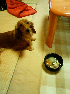 201001022045000.jpg