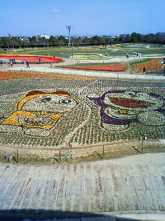 201003221008000.jpg