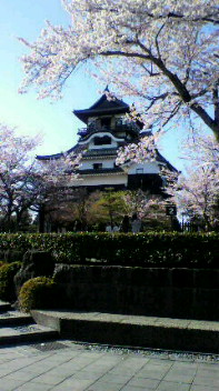 2010040815510001.jpg