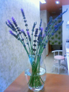 201005101908000.jpg