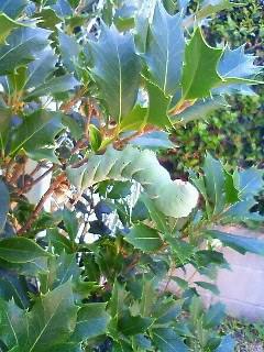 201008181358000.jpg