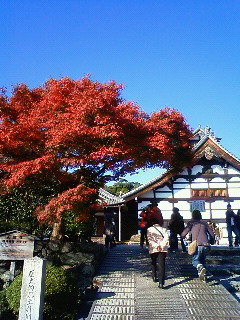 201011210858000.jpg