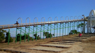 image.jpg