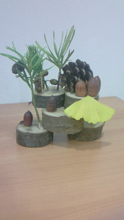 201011241353000.jpg