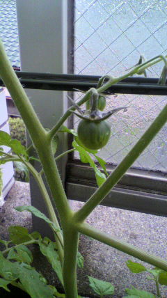 2011052216340000.jpg