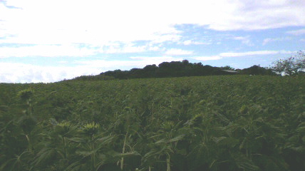 2011091113180001.jpg