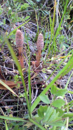 2012032513170000.jpg